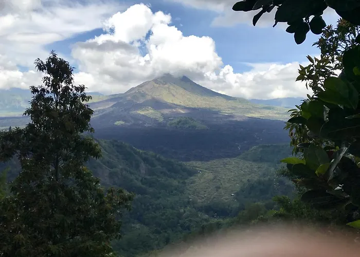 リゾート Sebatu Sanctuary Eco-resort テガララン